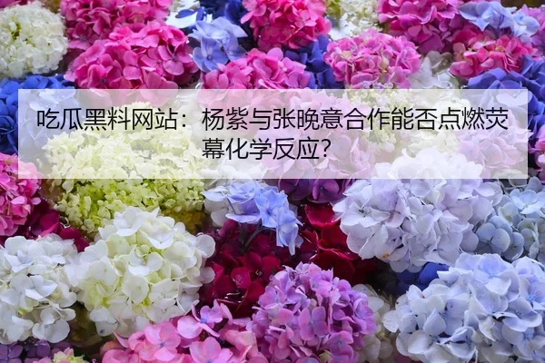 吃瓜黑料网站：杨紫与张晚意合作能否点燃荧幕化学反应？